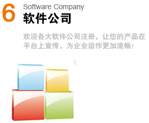 ܛ˾Software Company